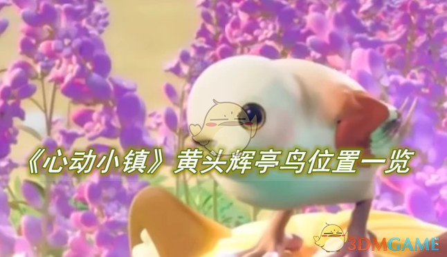 《心动小镇》黄头辉亭鸟位置一览