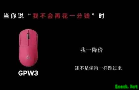 罗技广告文案侮辱消费者像狗 ROG官方发视频内涵 网友：贴脸开大