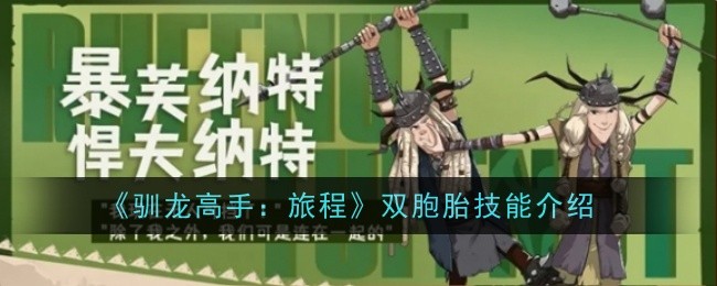 《驯龙高手：旅程》双胞胎技能介绍