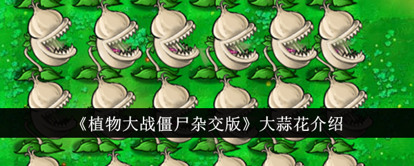 /handbook/2026/03-30/1136281.shtml