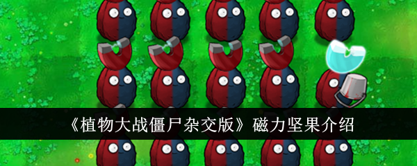 /handbook/2026/03-30/1136297.shtml