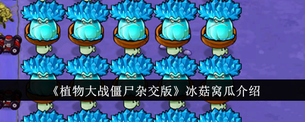 《植物大战僵尸杂交版》冰菇窝瓜介绍