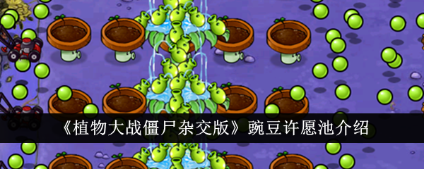 /handbook/2026/03-30/1136346.shtml