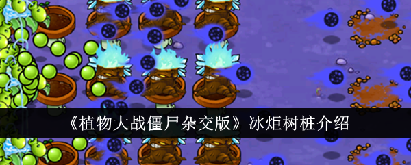 /handbook/2026/03-30/1136350.shtml