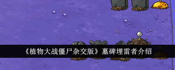 /handbook/2026/03-30/1136353.shtml