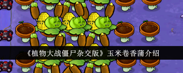 /handbook/2026/03-30/1136360.shtml