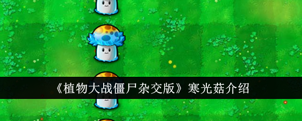 /handbook/2026/03-30/1136522.shtml