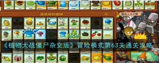 《植物大战僵尸杂交版》冒险模式第63关通关攻略