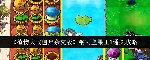 《植物大战僵尸杂交版》钢刺坚果王1通关攻略