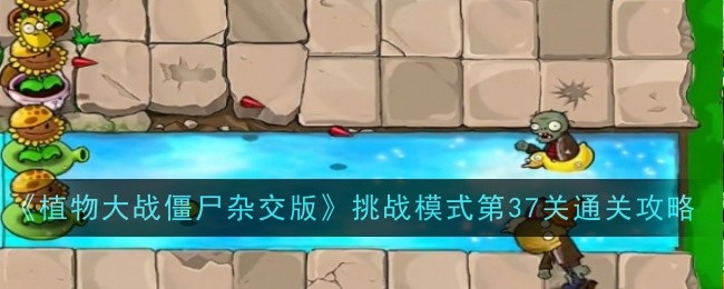 《植物大战僵尸杂交版》挑战模式第37关通关攻略