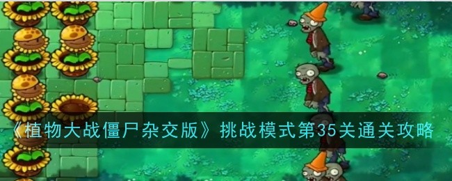 《植物大战僵尸杂交版》挑战模式第35关通关攻略