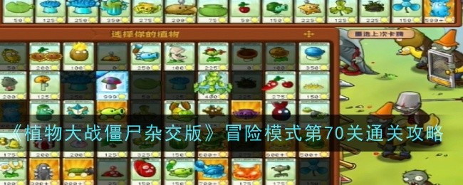 《植物大战僵尸杂交版》冒险模式第70关通关攻略