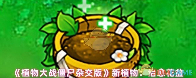 《植物大战僵尸杂交版》新植物：治愈花盆