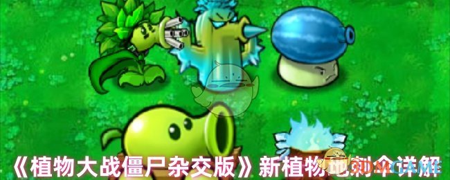 《植物大战僵尸杂交版》新植物地刺伞详解