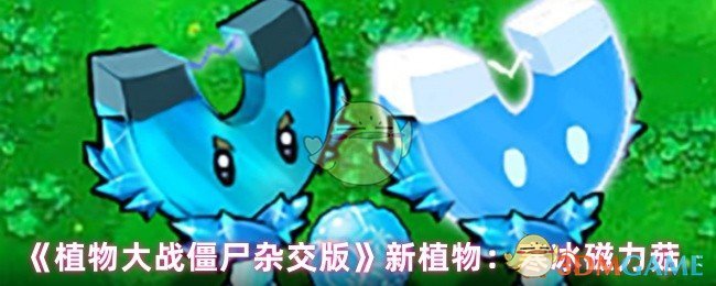 《植物大战僵尸杂交版》新植物：寒冰磁力菇