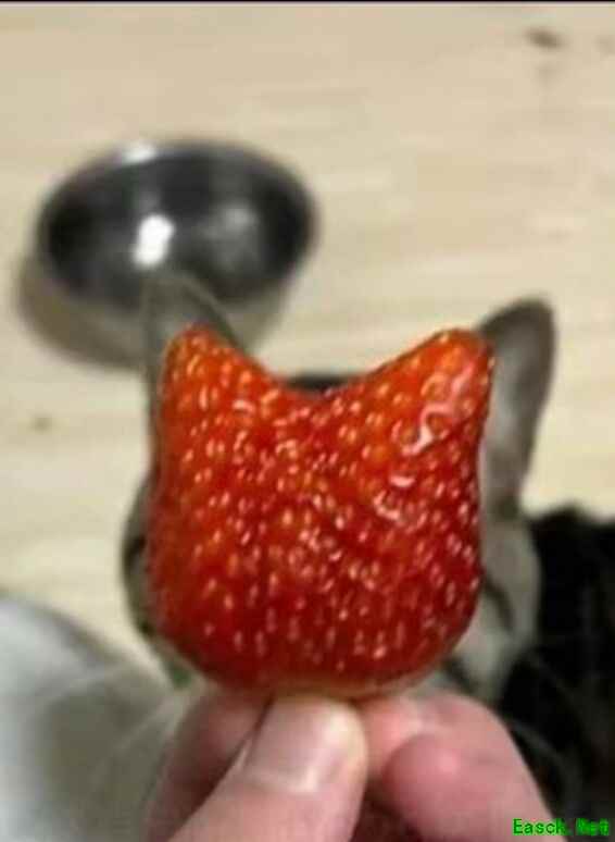 三国大英雄武将技能全解析