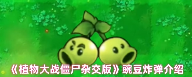 《植物大战僵尸杂交版》豌豆炸弹介绍