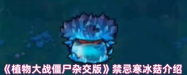 《植物大战僵尸杂交版》禁忌寒冰菇介绍