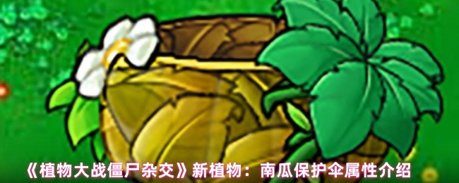 《植物大战僵尸杂交》新植物：南瓜保护伞属性介绍