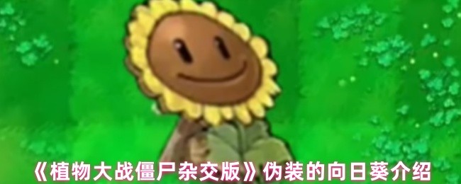 《植物大战僵尸杂交版》伪装的向日葵介绍