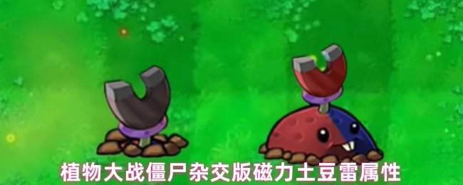 植物大战僵尸杂交版磁力土豆雷属性