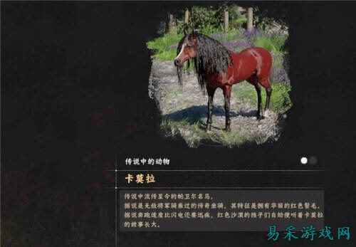 红色沙漠卡莫拉马驯服指南 红色沙漠卡莫拉马驯服全攻略