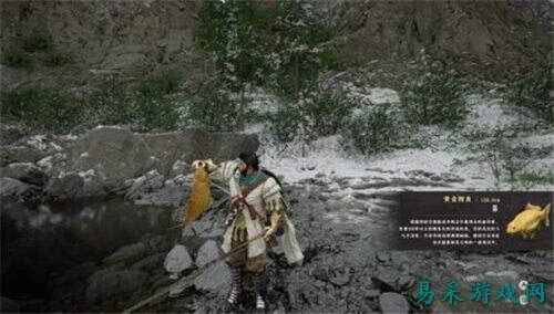 红色沙漠传说中的鱼介绍一览 红色沙漠传说中的鱼全指南