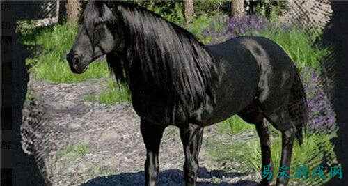 红色沙漠传说中的生物位置解锁方法 红色沙漠传说中的生物位置解锁全指南