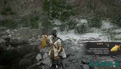 红色沙漠传说中的鱼有哪些 红色沙漠传说中的鱼汇总一览