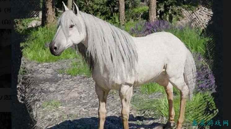 红色沙漠传说中的动物有哪些 红色沙漠传说中的动物汇总一览