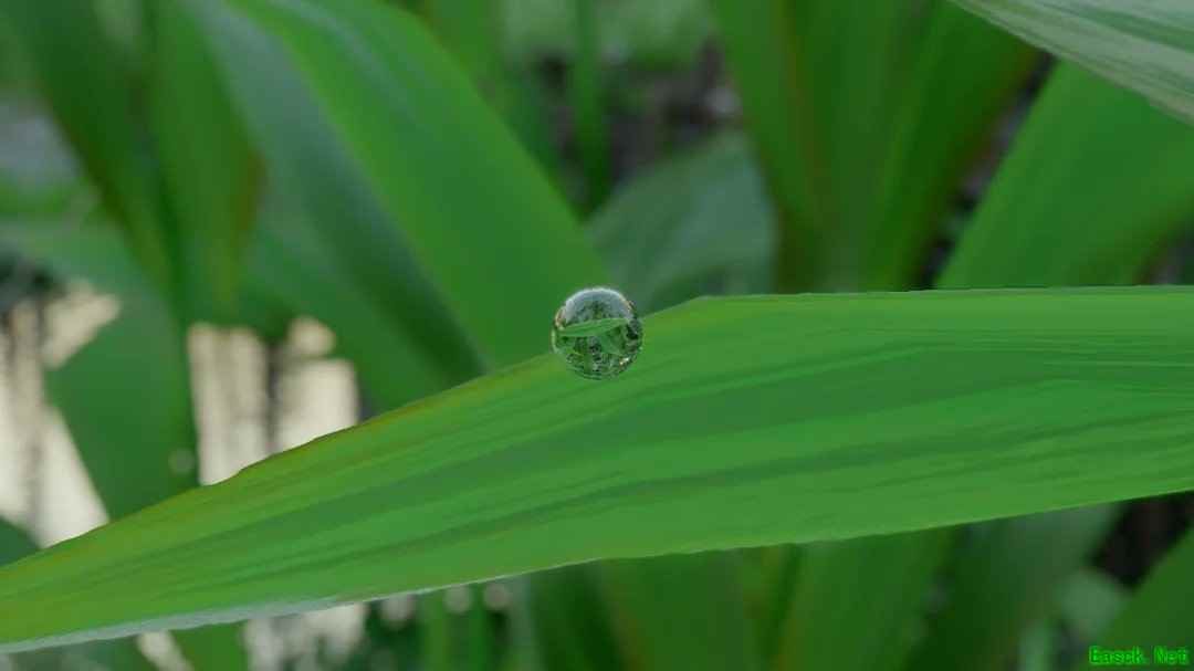 红色沙漠水珠反射惊艳玩家，八年打磨引热议