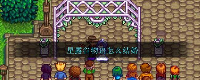 星露谷物语怎么结婚