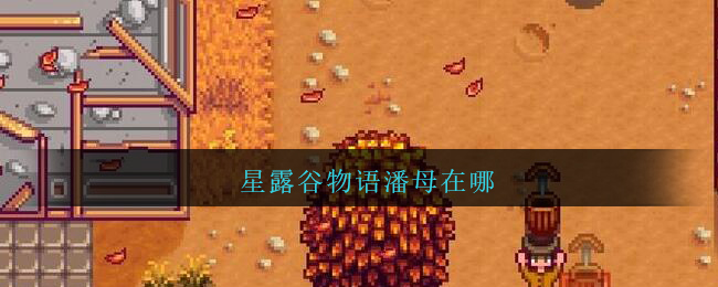 星露谷物语潘母在哪