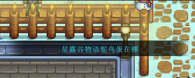 星露谷物语鸵鸟蛋在哪