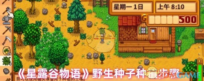 《星露谷物语》野生种子种植步骤