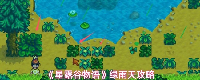《星露谷物语》绿雨天攻略