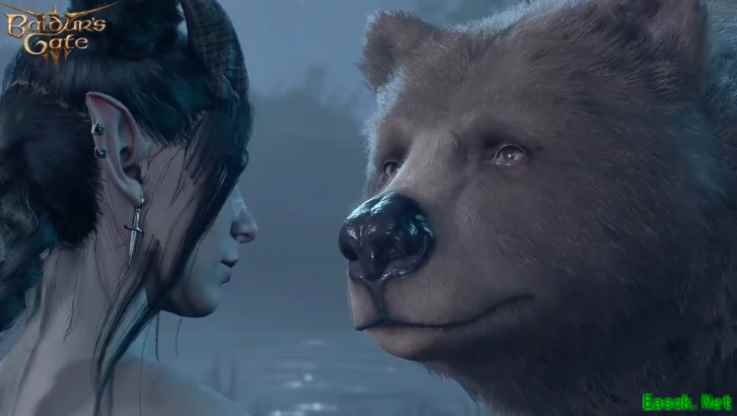 博德之门3德鲁伊哈尔辛熊形态浪漫桥段引爆玩家热议