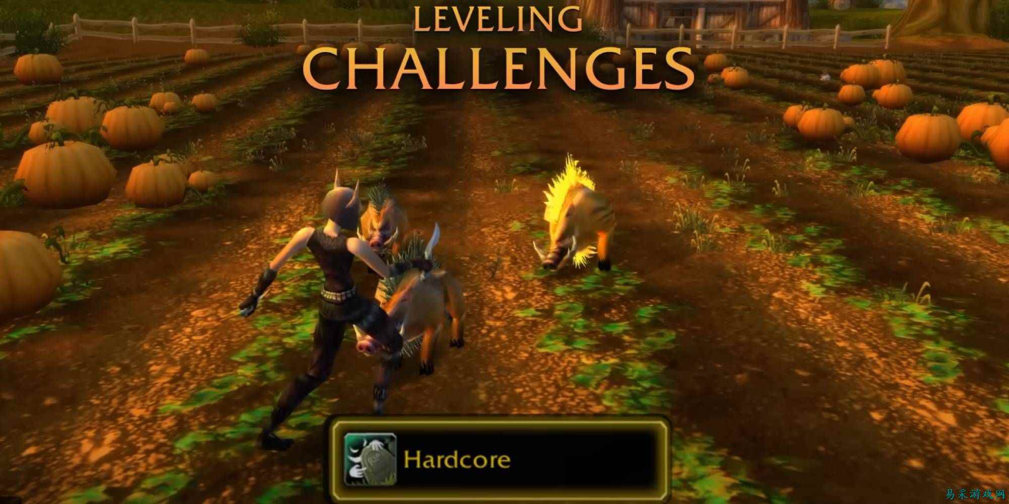 TurtleWoW 败诉后收到禁令通知