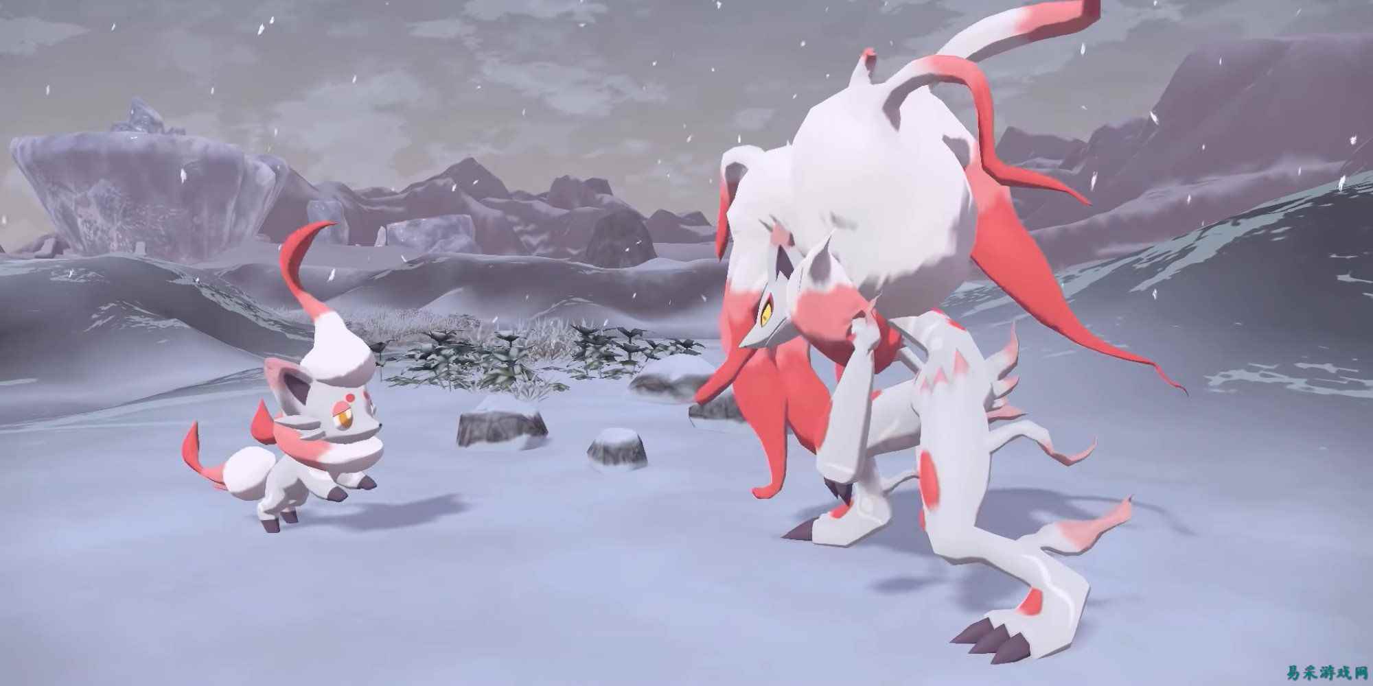 洗翠索罗亚克的能力正成为《Pokemon Champions》玩家的噩梦