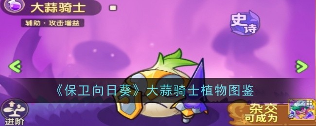 《保卫向日葵》大蒜骑士植物图鉴