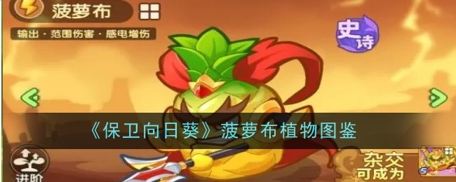 《保卫向日葵》菠萝布植物图鉴