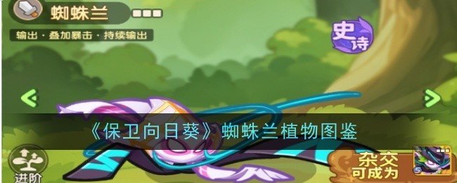 《保卫向日葵》蜘蛛兰植物图鉴