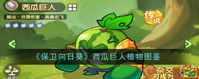 《保卫向日葵》西瓜巨人植物图鉴