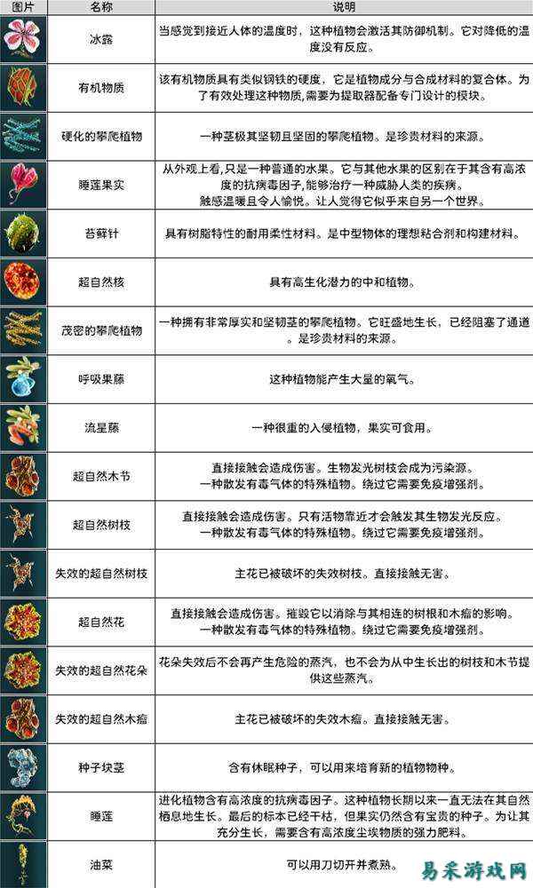 永恒天空植物群图鉴分享 永恒天空全植物特点介绍