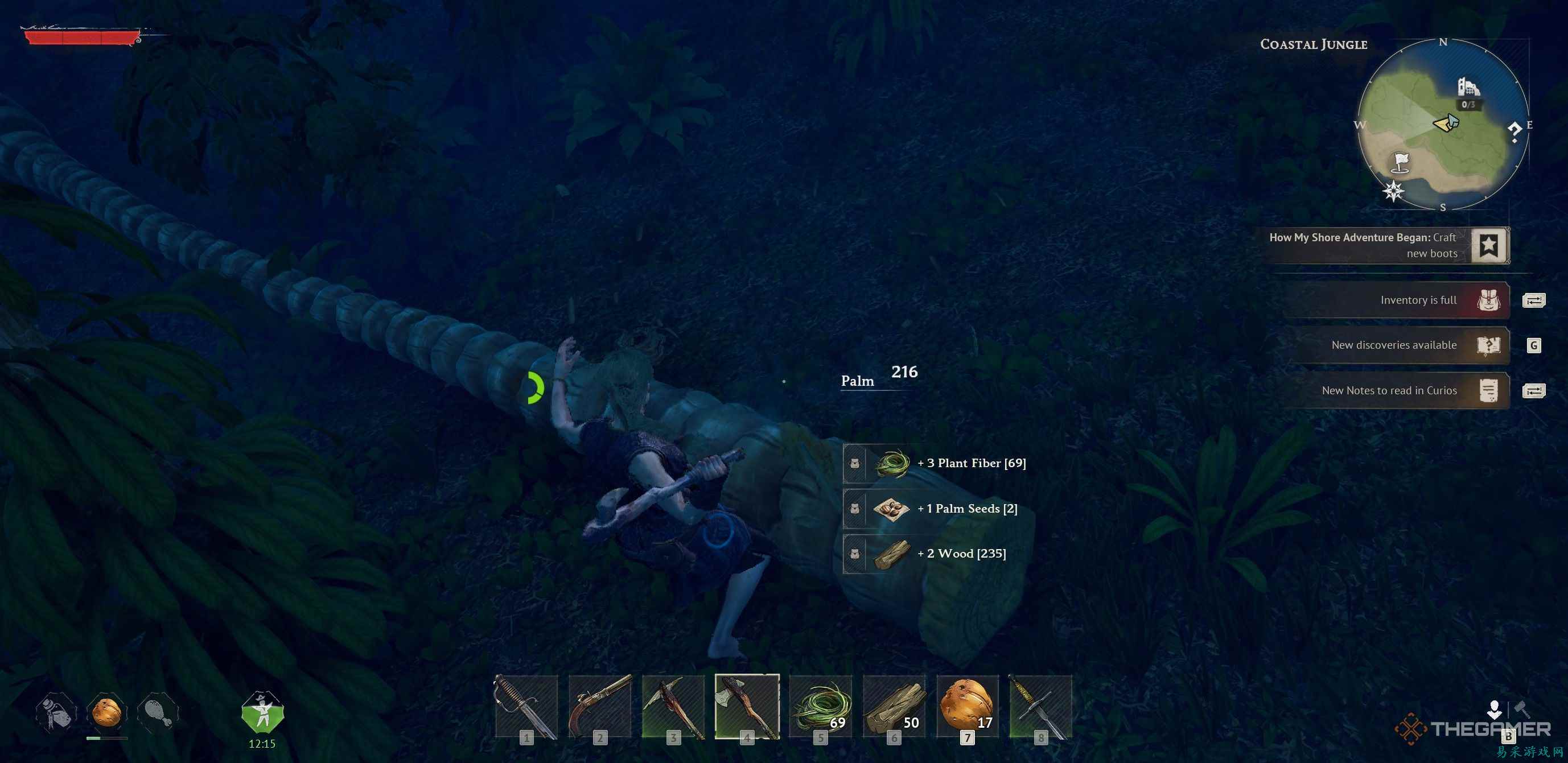 如何在《Windrose》中获得棕榈种子