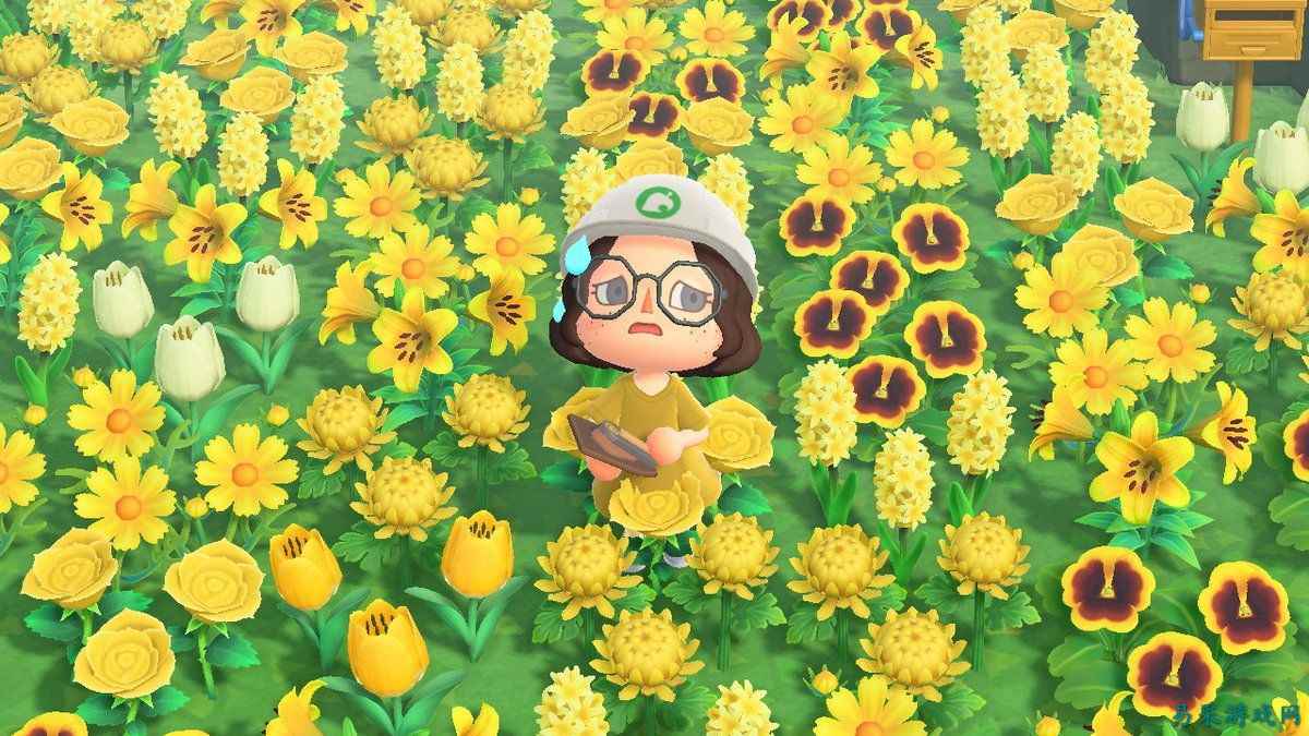 《集合啦！动物森友会》对比《Tomodachi Life: Living the Dream》，我们不得不做的横向测评