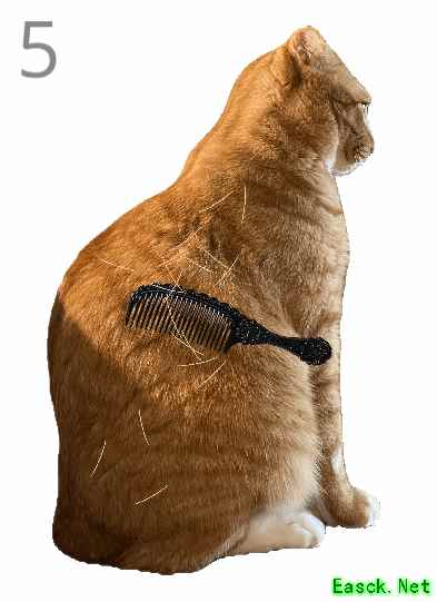 外网给猫梳毛小游戏火了！难度超高 失误就秒哈气！