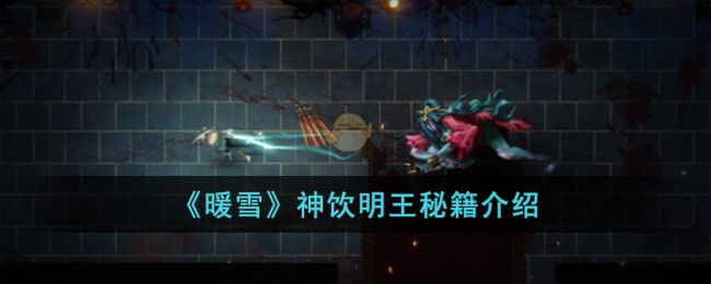 《暖雪》神饮明王秘籍介绍