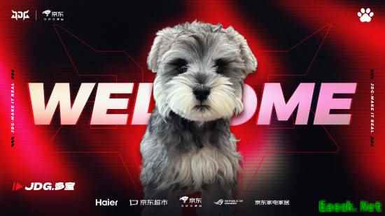 《LOL》京东战队官宣了一只狗的加入:这下真京巴狗了