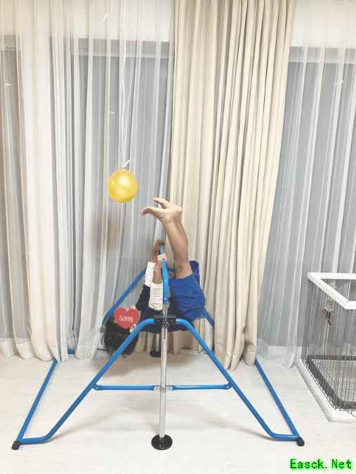 男孩苦练单杠半年终成功，父亲信守承诺购得Switch2